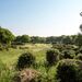 <Orsett GC Championship September 2016
