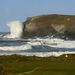 <Trevose GC Championship     November Annually